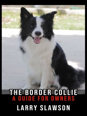 cover image of The Border Collie